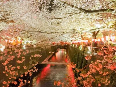 Art Party (目黒へお花見)